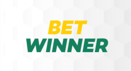 Логотип БетВиннер Казино - лицензированный игровой портал